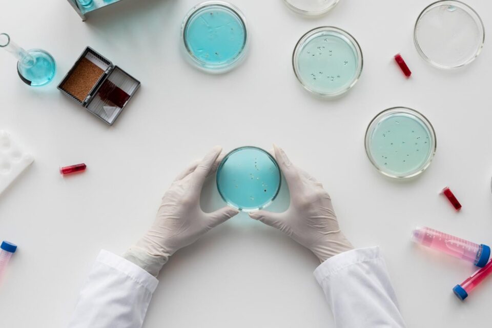 Probiotic innovation requires years of research