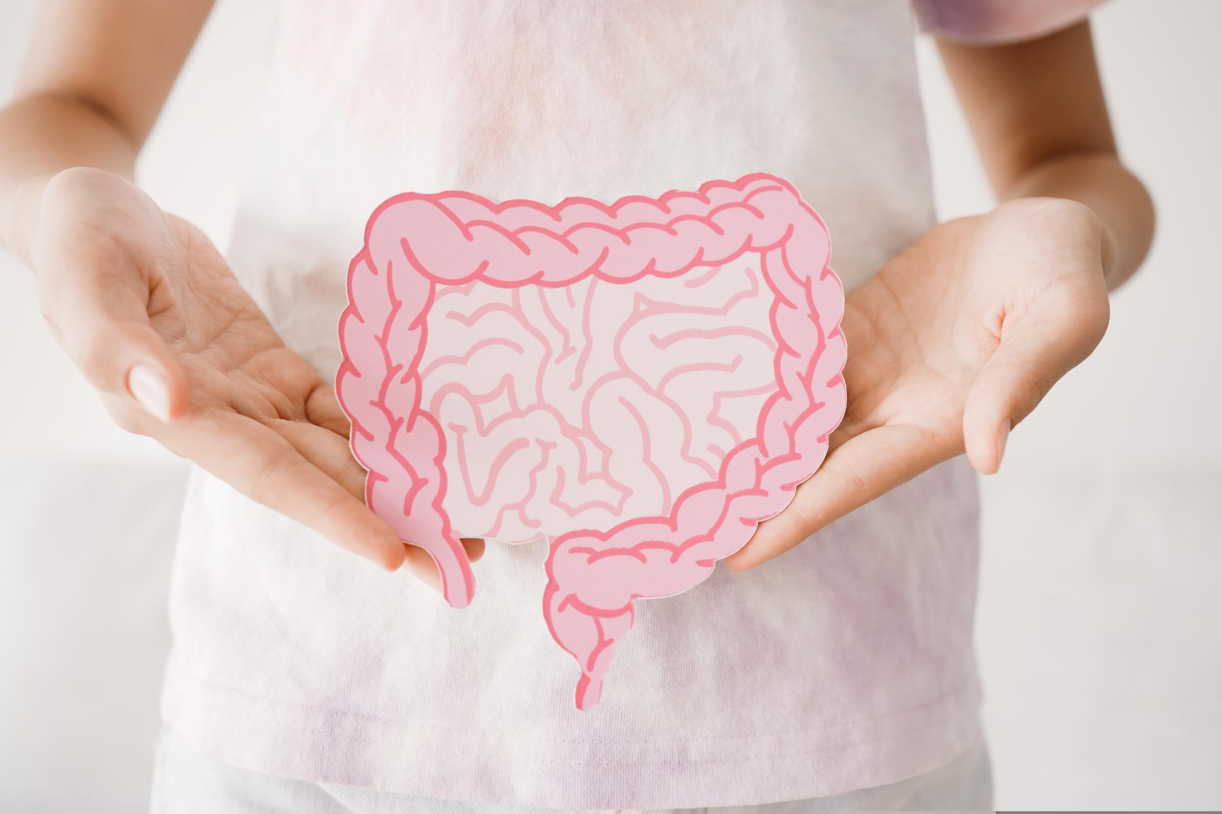 Probiotics and digestive health